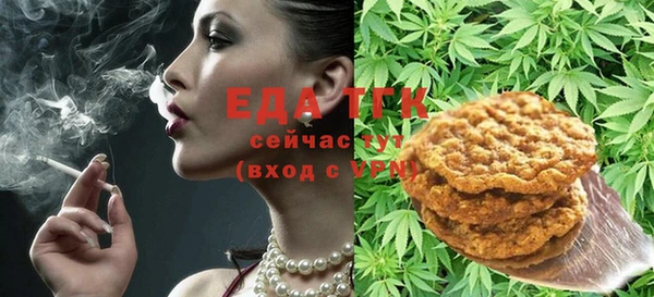 твердый Протвино