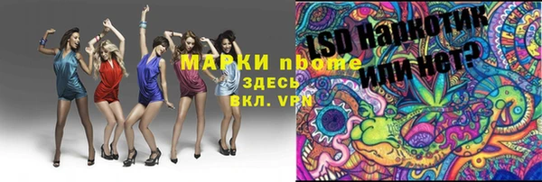 твердый Протвино